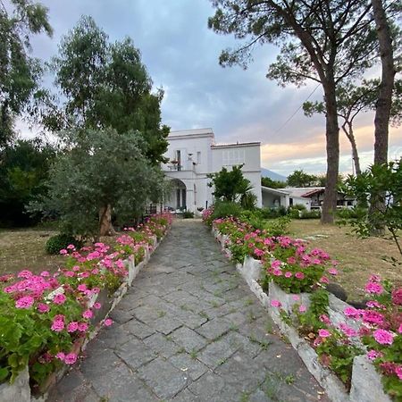 B&B Casa Maria Vittoria トッレ・デル・グレコ エクステリア 写真