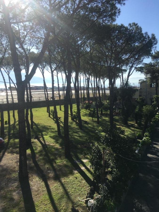 B&B Casa Maria Vittoria トッレ・デル・グレコ エクステリア 写真