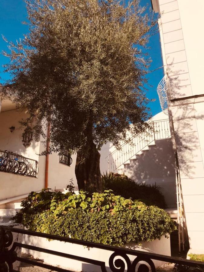 B&B Casa Maria Vittoria トッレ・デル・グレコ エクステリア 写真