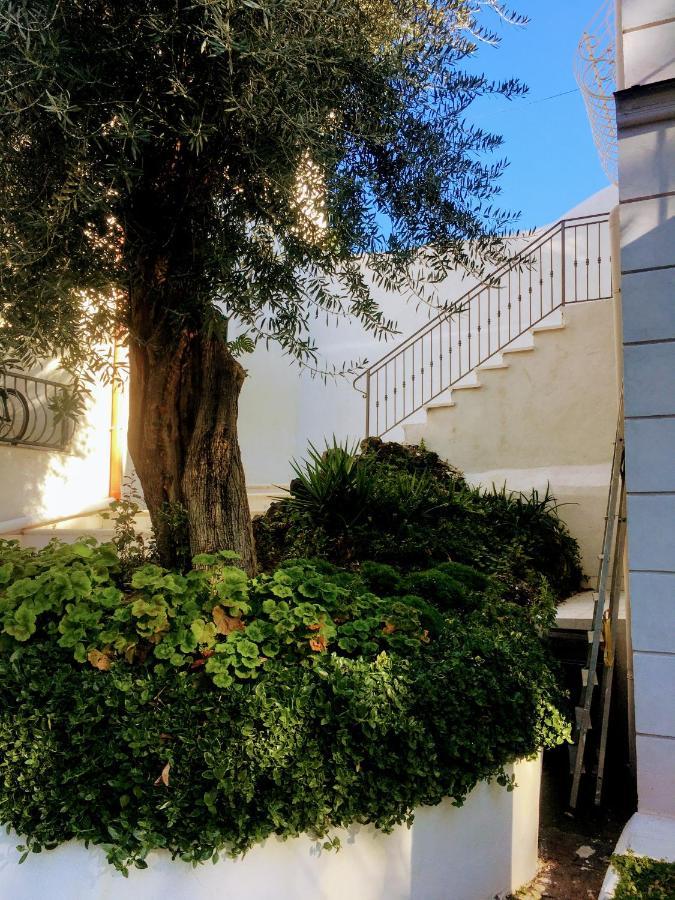 B&B Casa Maria Vittoria トッレ・デル・グレコ エクステリア 写真